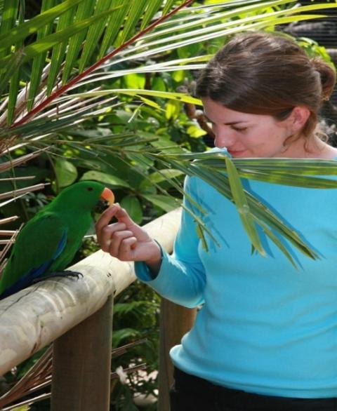 Daintree Wild Bed & Breakfast Экстерьер фото