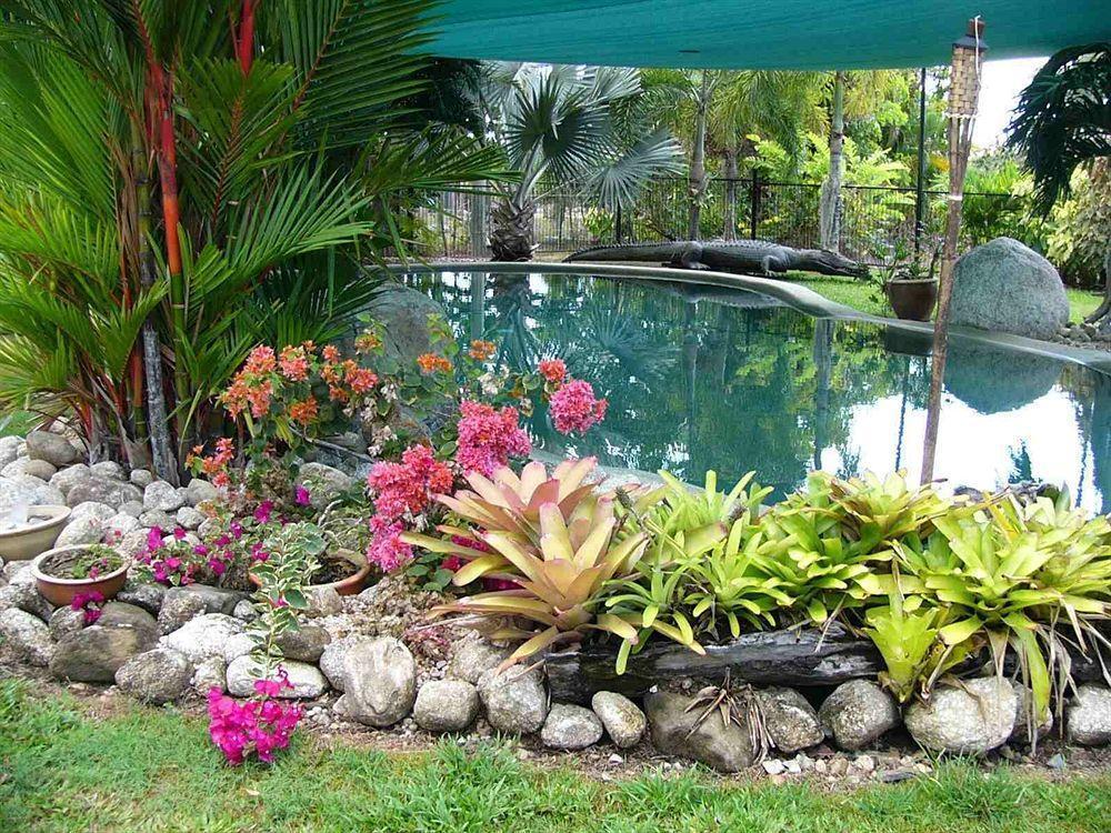 Daintree Wild Bed & Breakfast Экстерьер фото