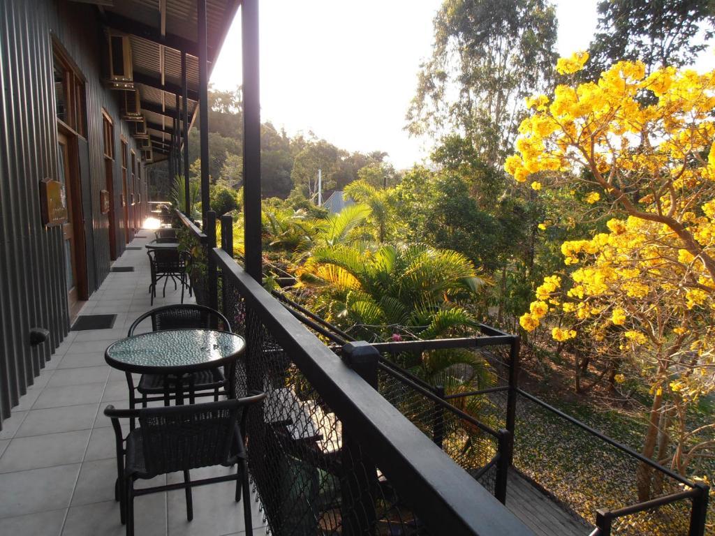 Daintree Wild Bed & Breakfast Номер фото