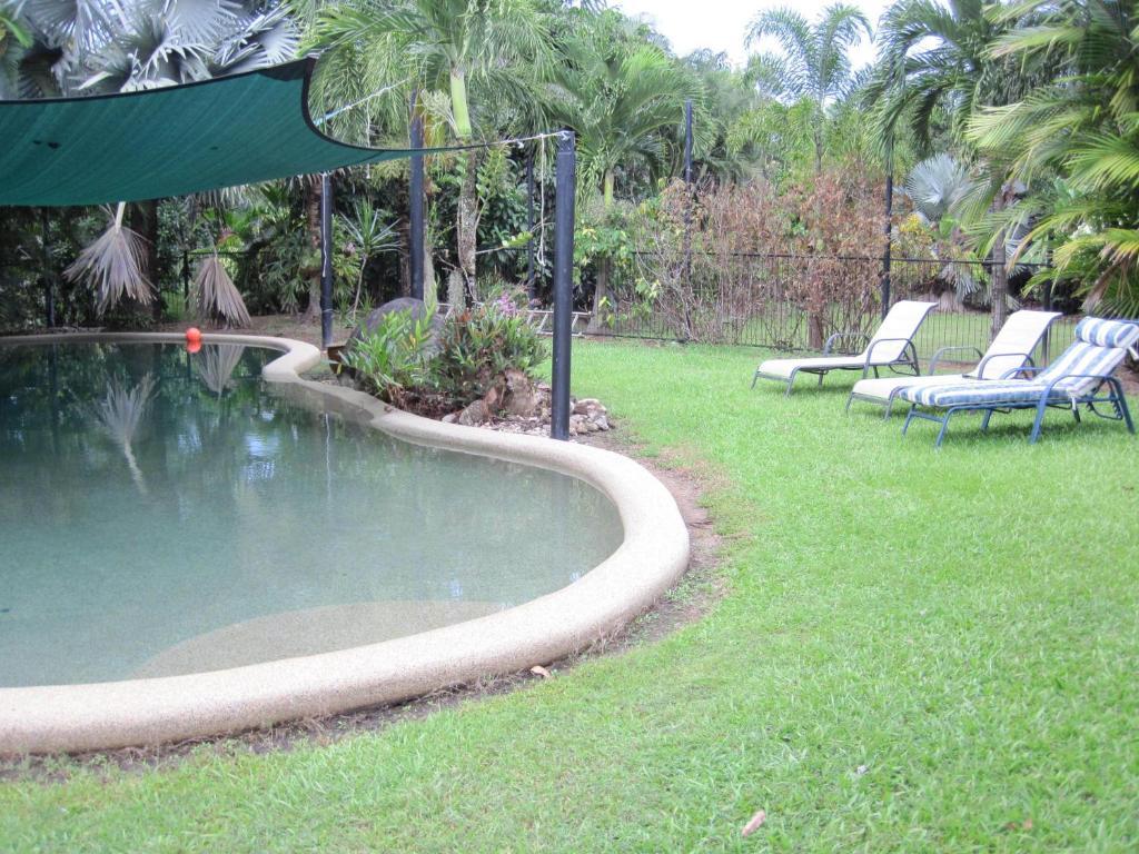 Daintree Wild Bed & Breakfast Экстерьер фото