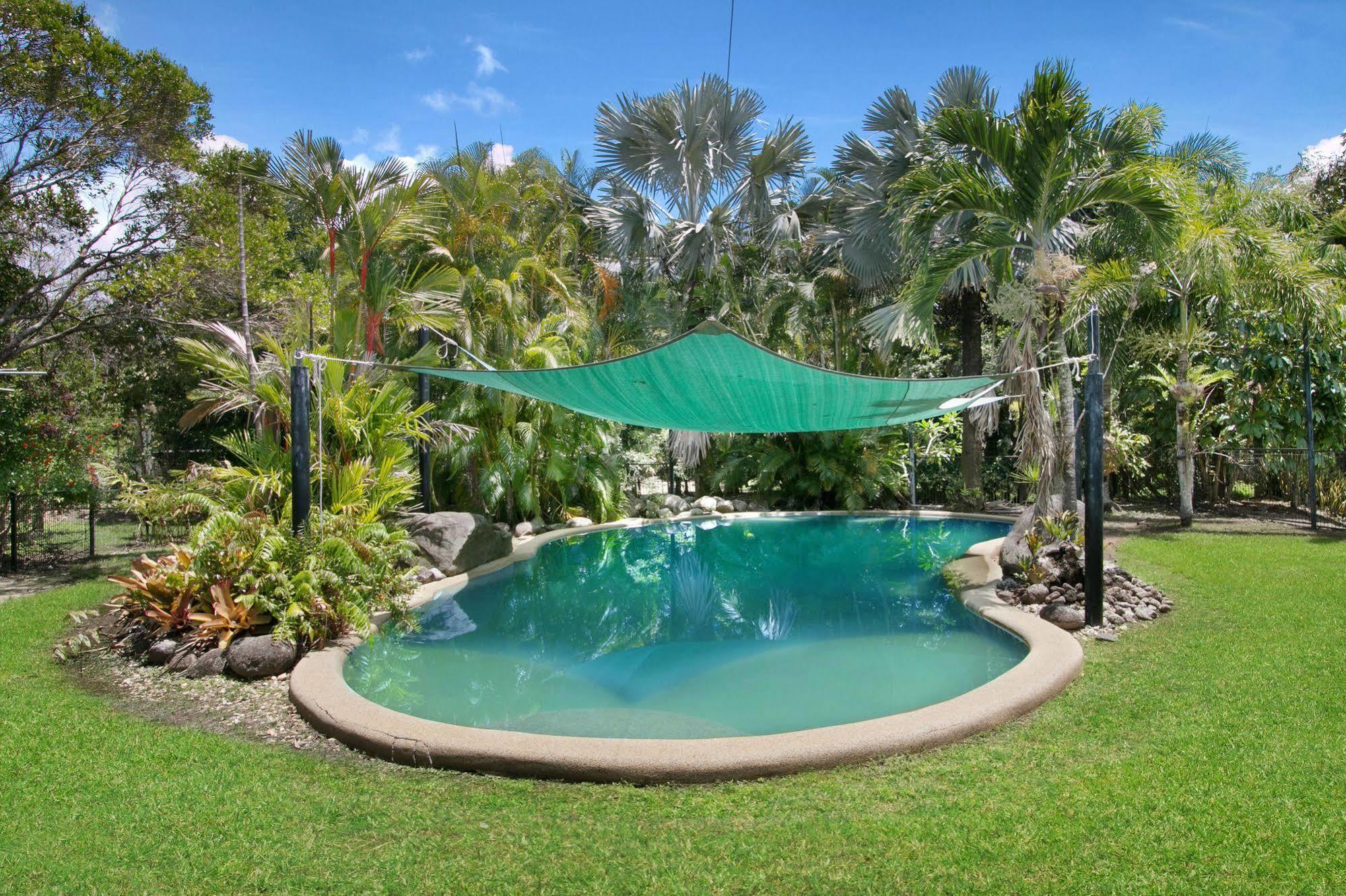 Daintree Wild Bed & Breakfast Экстерьер фото