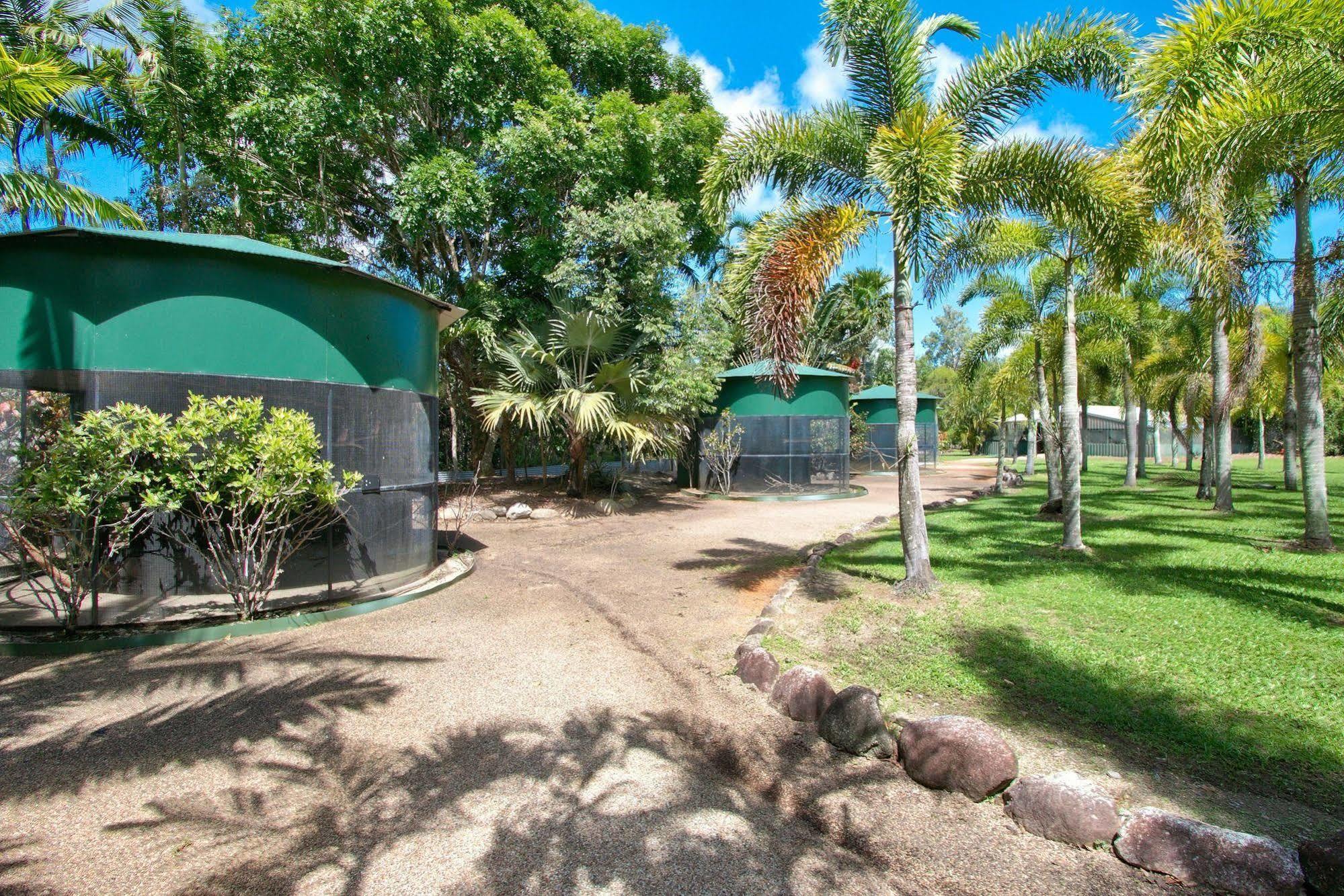Daintree Wild Bed & Breakfast Экстерьер фото